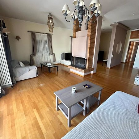City Center Apartment بريفيزا المظهر الخارجي الصورة